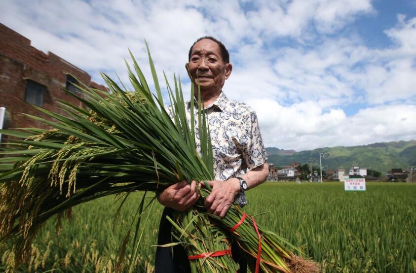 纪念袁隆平.jpg