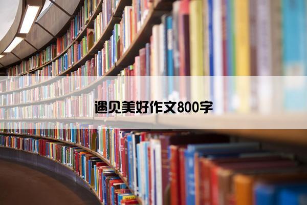 遇见美好作文800字