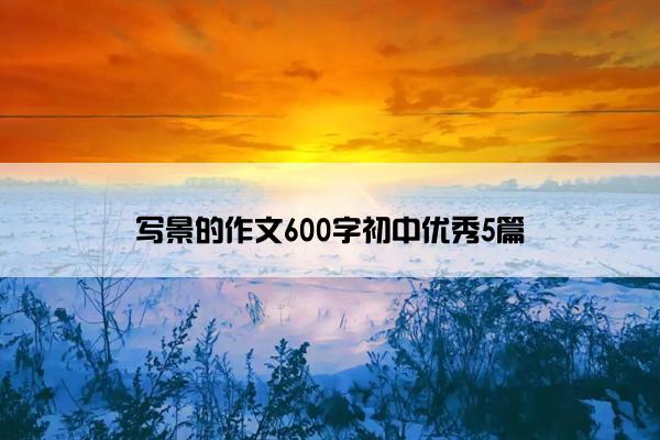 写景的作文600字初中优秀5篇