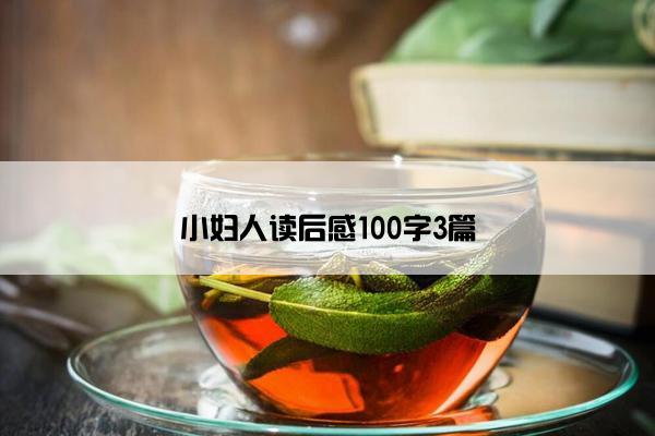 小妇人读后感100字3篇