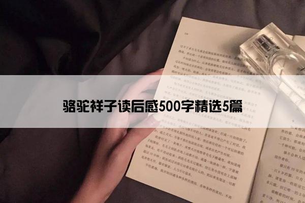 骆驼祥子读后感500字精选5篇