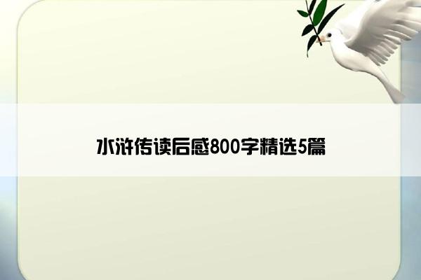 水浒传读后感800字精选5篇