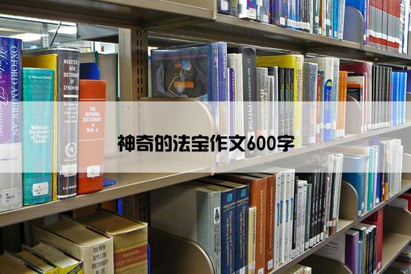 神奇的法宝作文600字