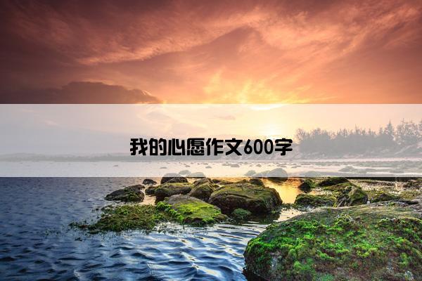 我的心愿作文600字