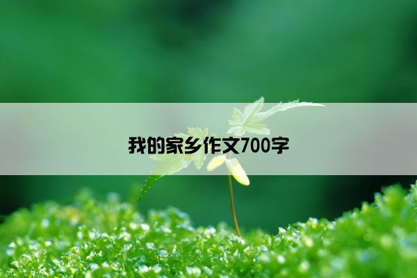 我的家乡作文700字