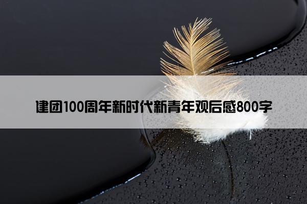 建团100周年新时代新青年观后感800字