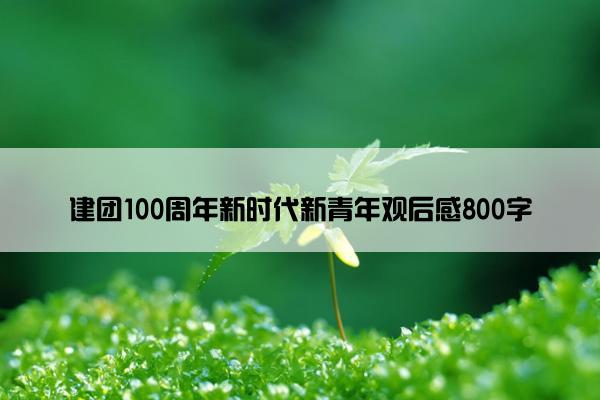 建团100周年新时代新青年观后感800字